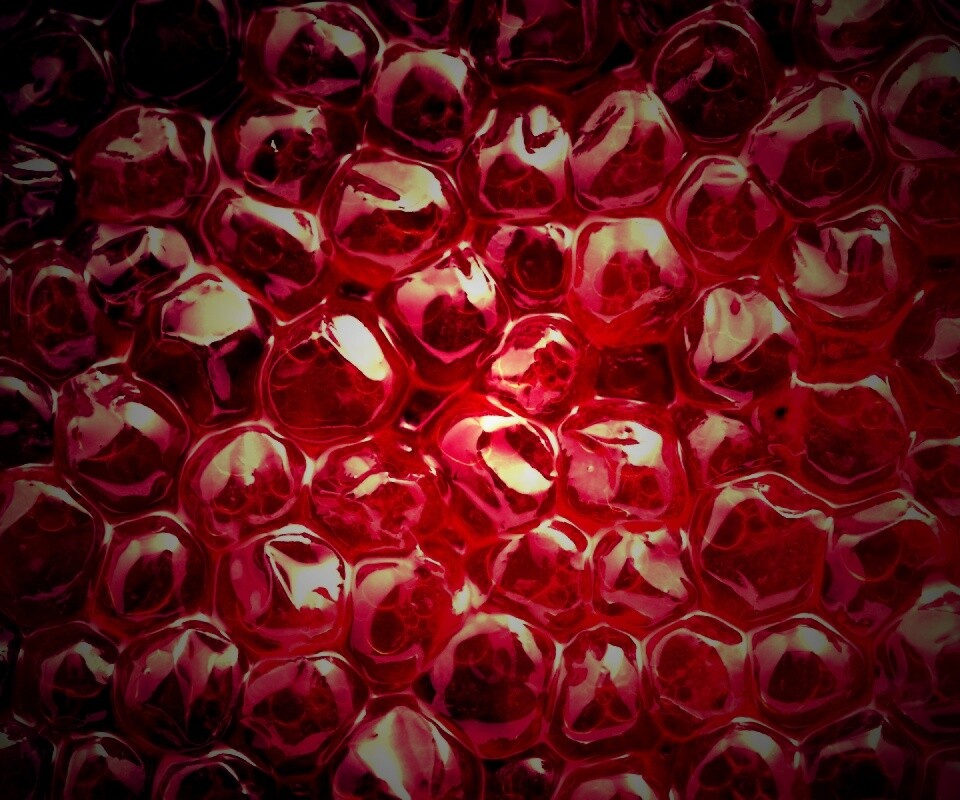 Красная икра обои