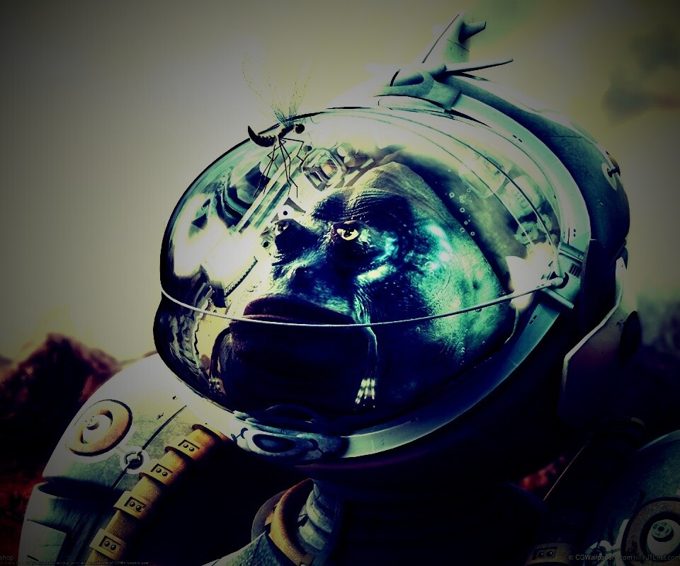 Инопланетянин и стрекоза обои