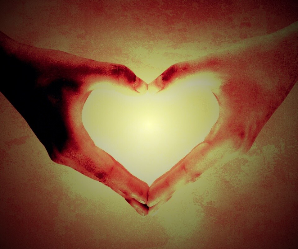 Сердце из сложенных рук обои