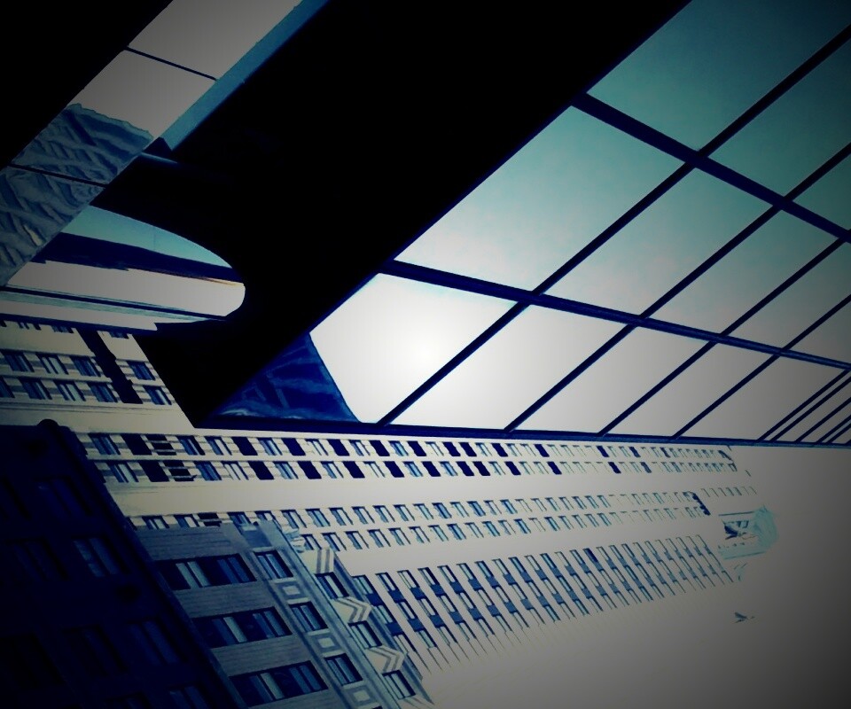 Взгляд вверх обои