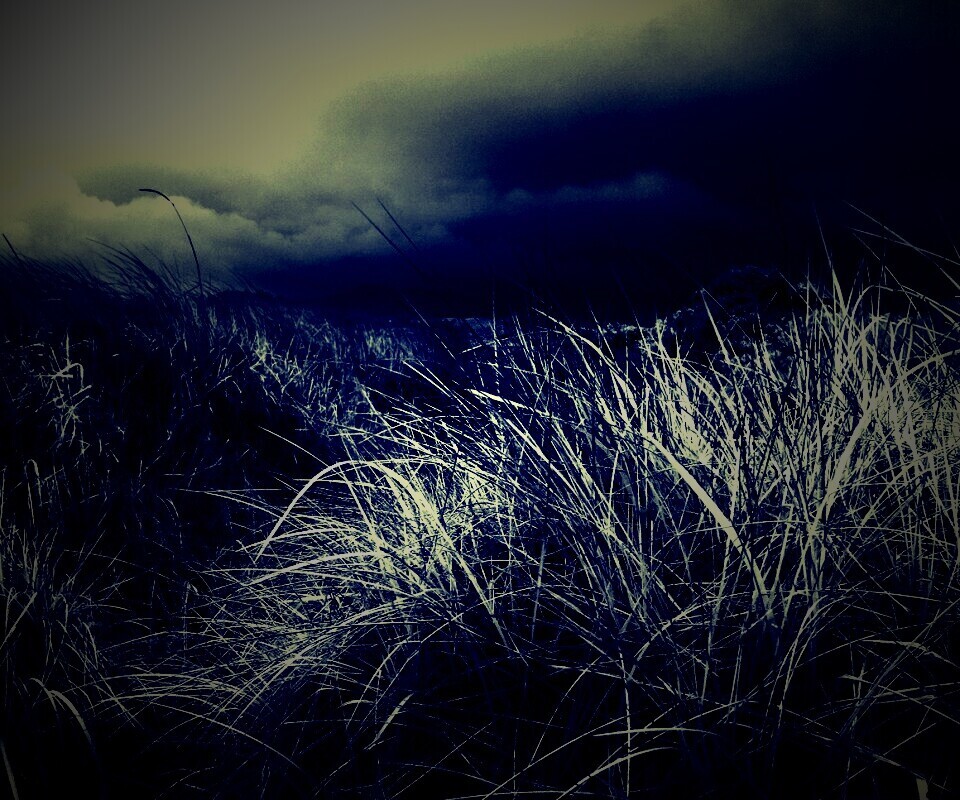 В ожидании шторма обои