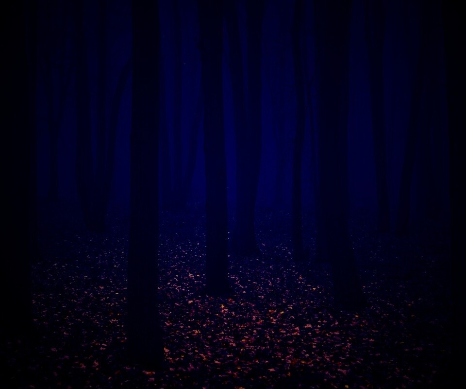 Таинственный лес обои