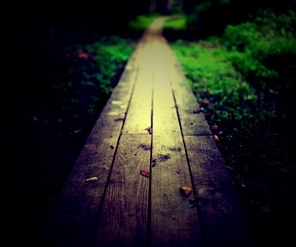 Деревянная тропинка обои