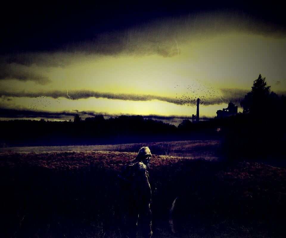 Сталкер под дождем обои