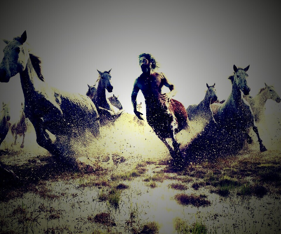 Кентавр обои