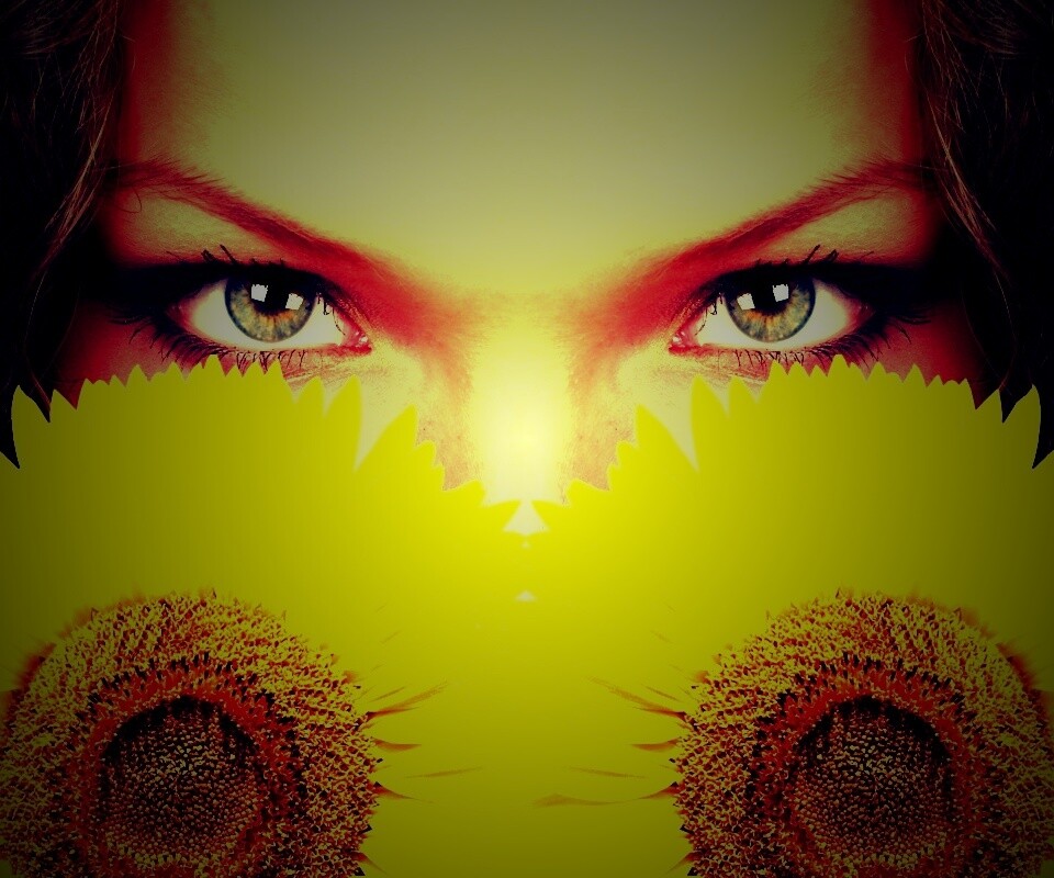 Девушка с желтыми ромашками обои