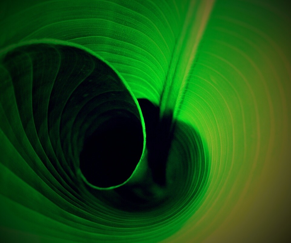 Зеленый лист трубочкой обои