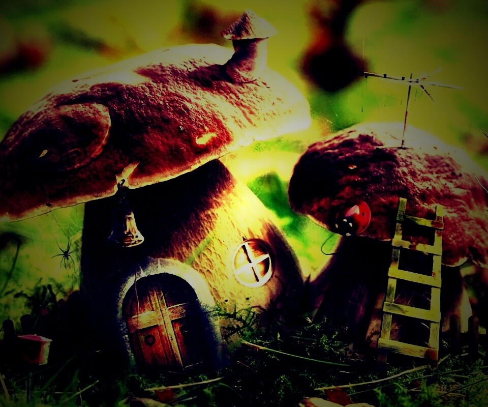 Грибы домики обои