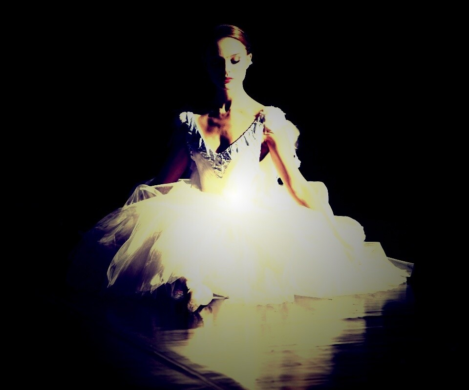 Черный лебедь обои