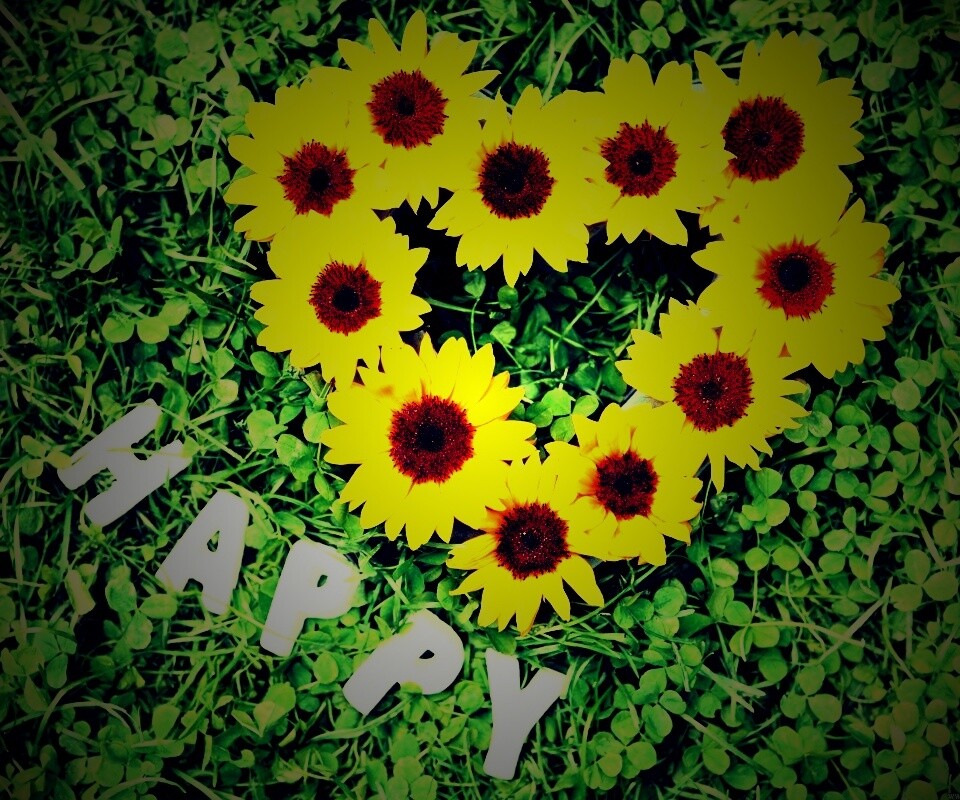 Радость обои