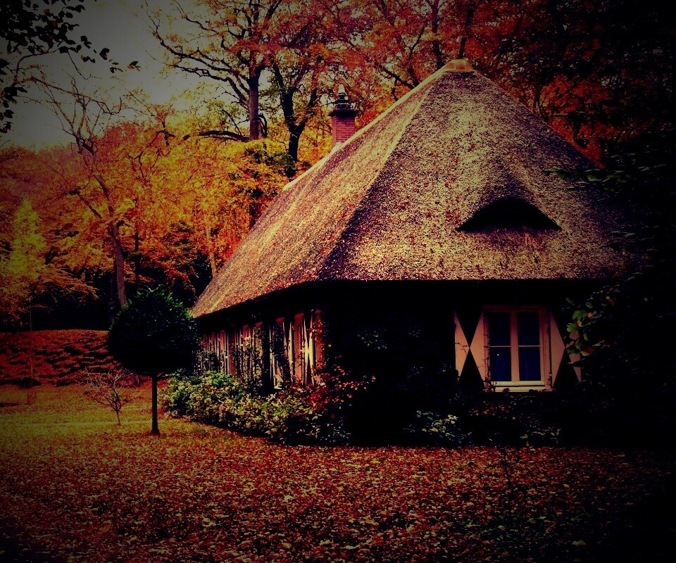 Домик в осеннем лесу обои