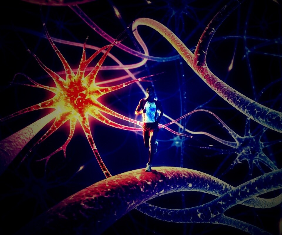 Бег мыслей обои