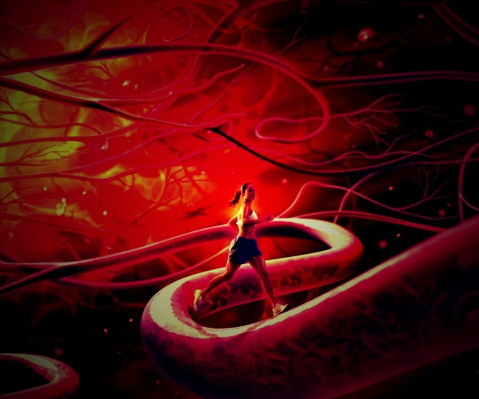 Бег крови обои