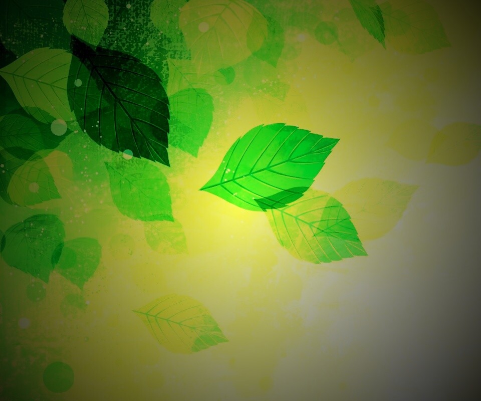 Прозрачные листья обои