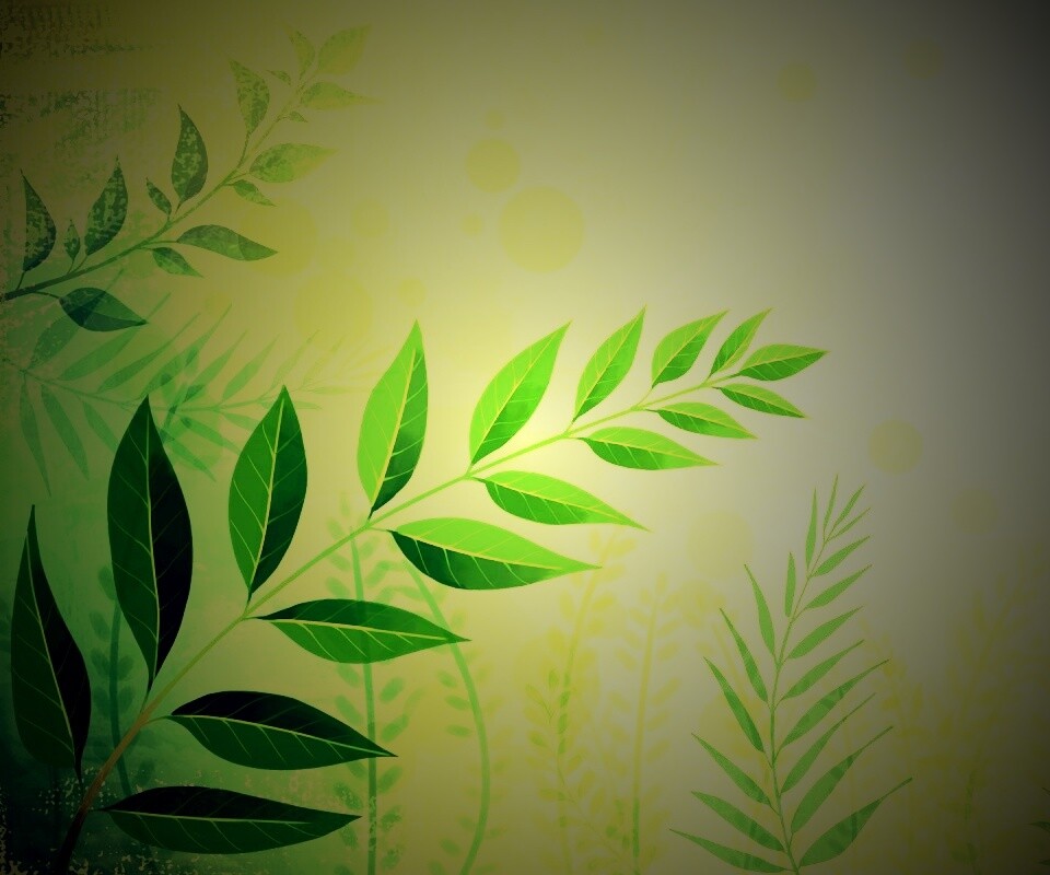 Веточка молодых листьев обои