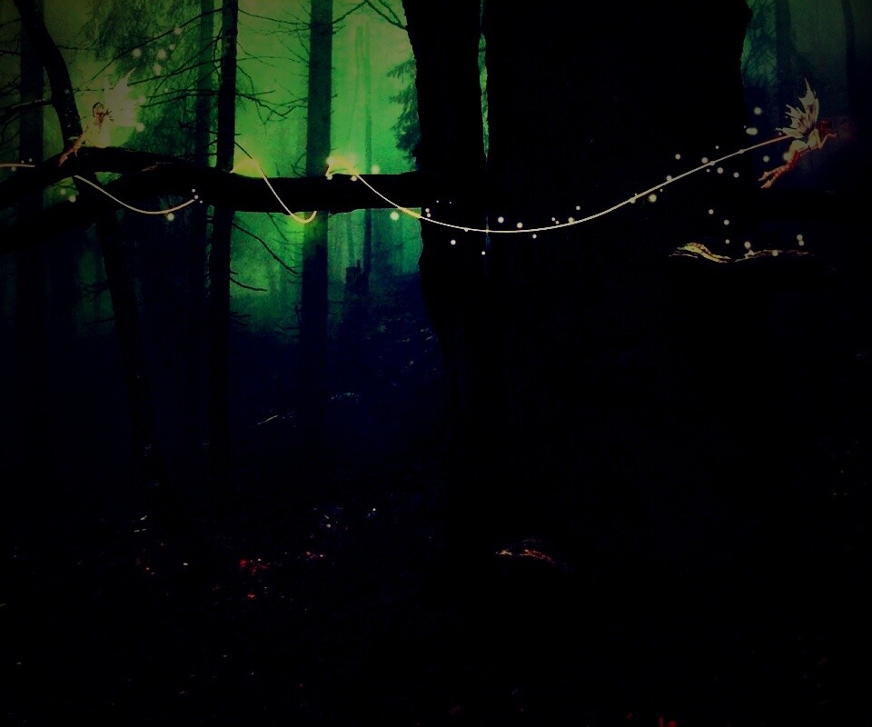 Лесные феи обои