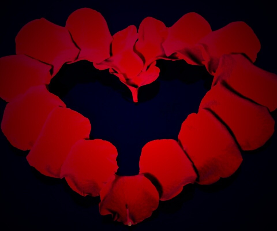 Красивое сердце обои