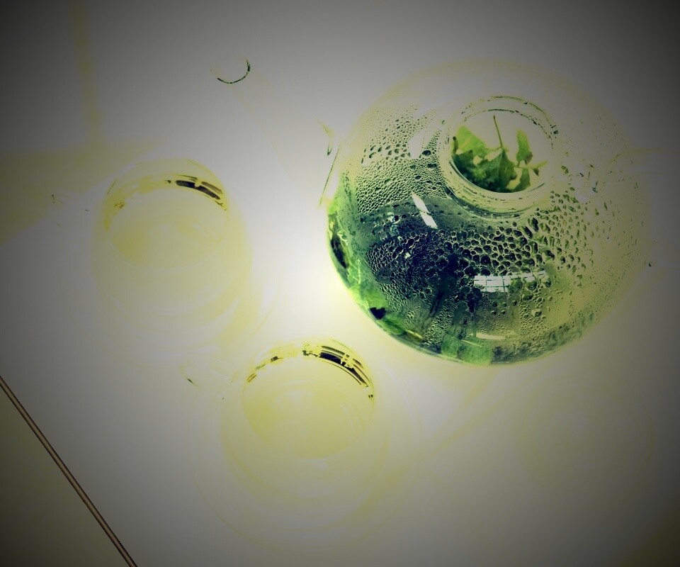 Зеленый чай обои