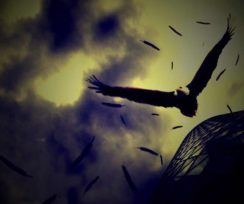 Орлиный полет обои