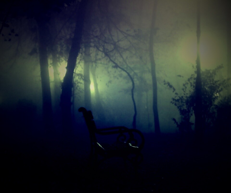 Темный лес обои