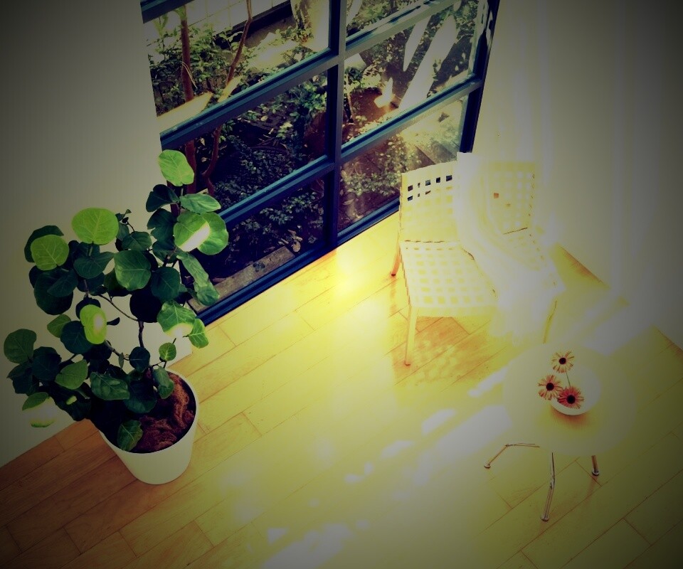 Стул, столик и цветы в комнате обои