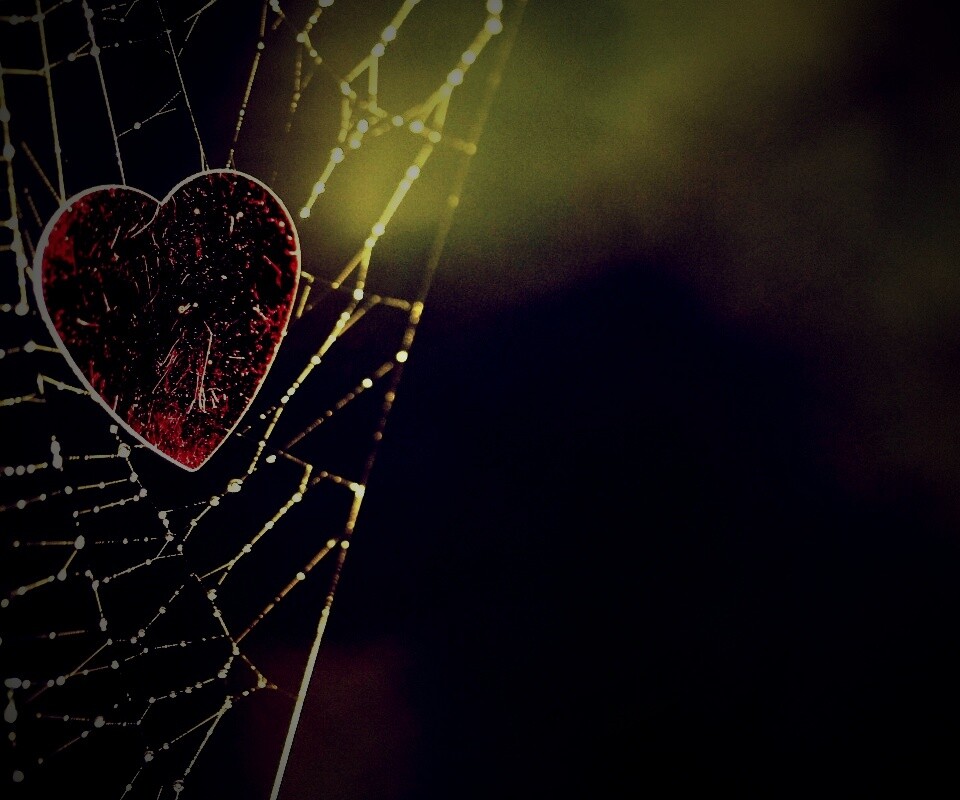 Запутавшаяся любовь.. обои