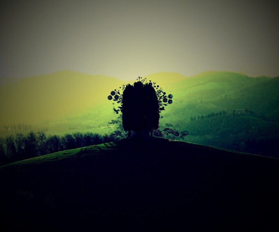 Деревья на холме обои