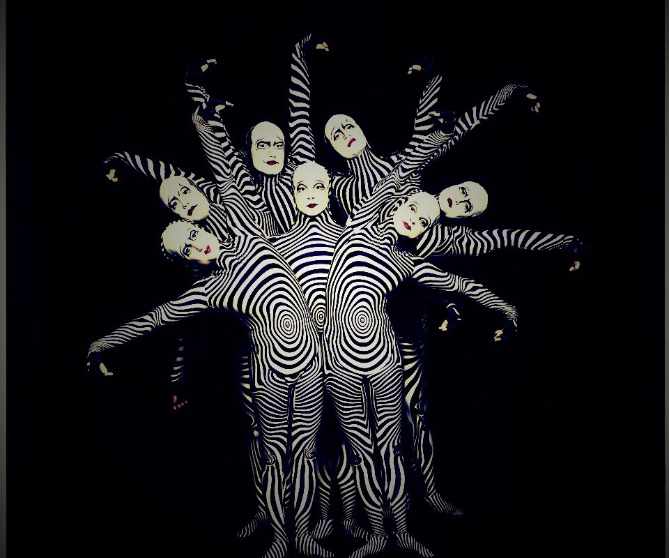 Зеброиды (актеры цирка дю солей) обои