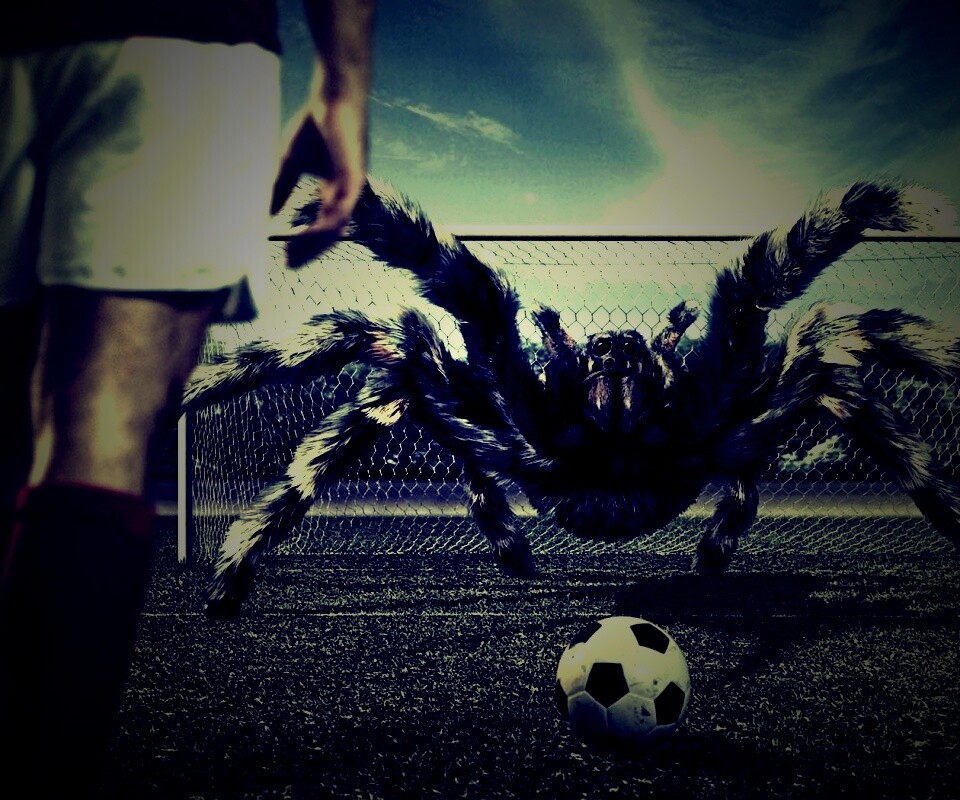 Вратарь обои