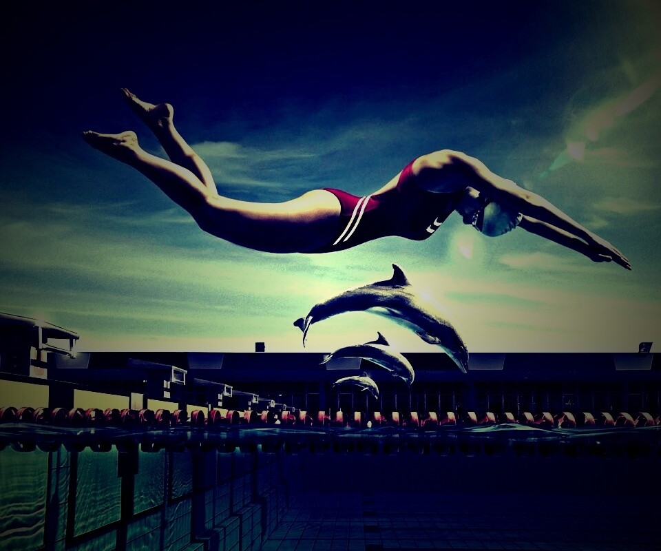 Соревнование обои