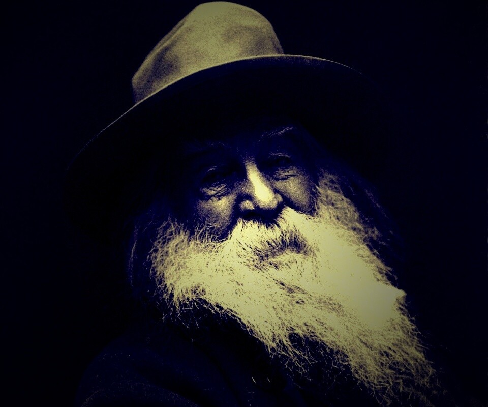 Уолт Уитмен обои