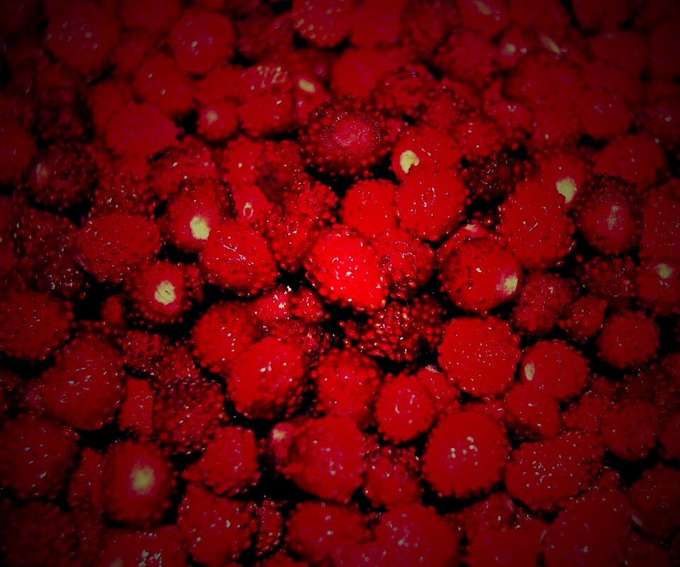 Земляника обои