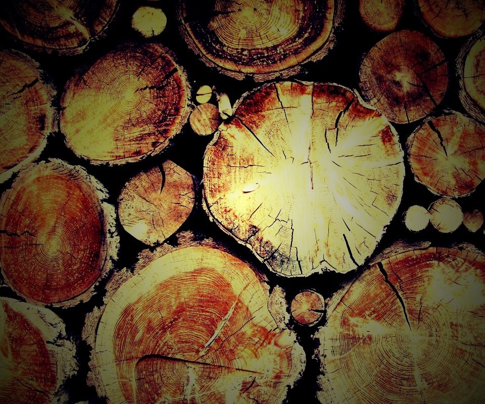 Древесный спил обои