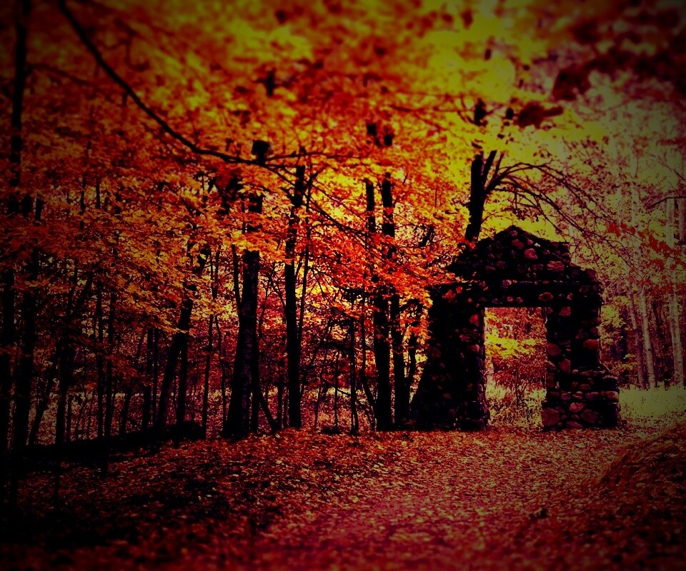 Каменная арка в осеннем лесу обои