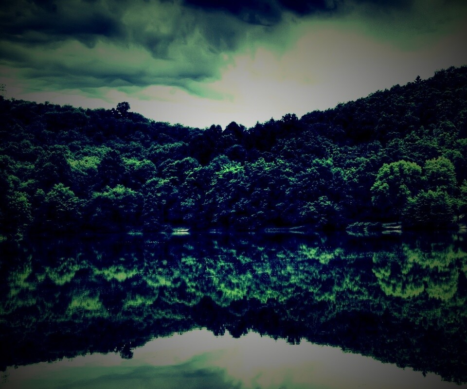 Лесной берег обои