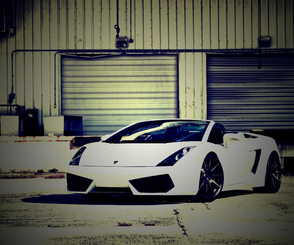 Белый спорткар Ламборгини Галлардо обои