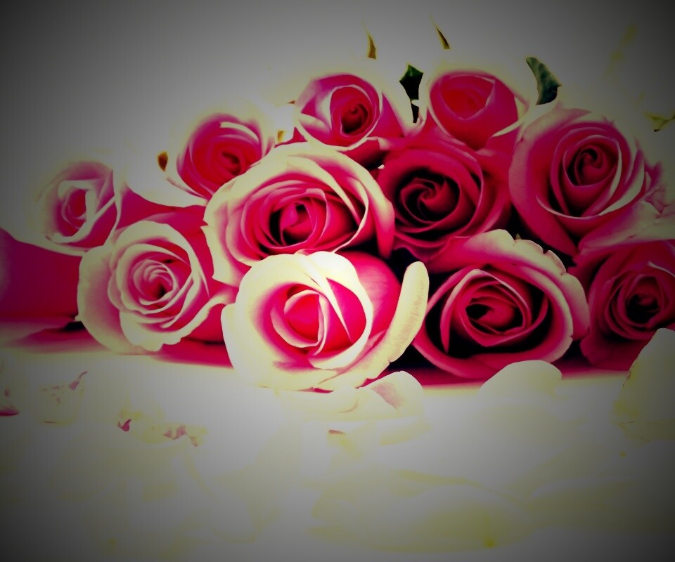 Букет роз обои