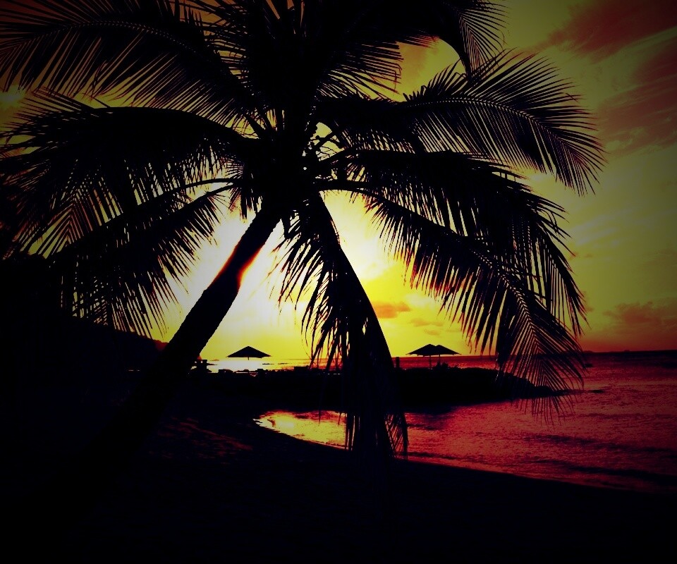 Пляж на закате обои