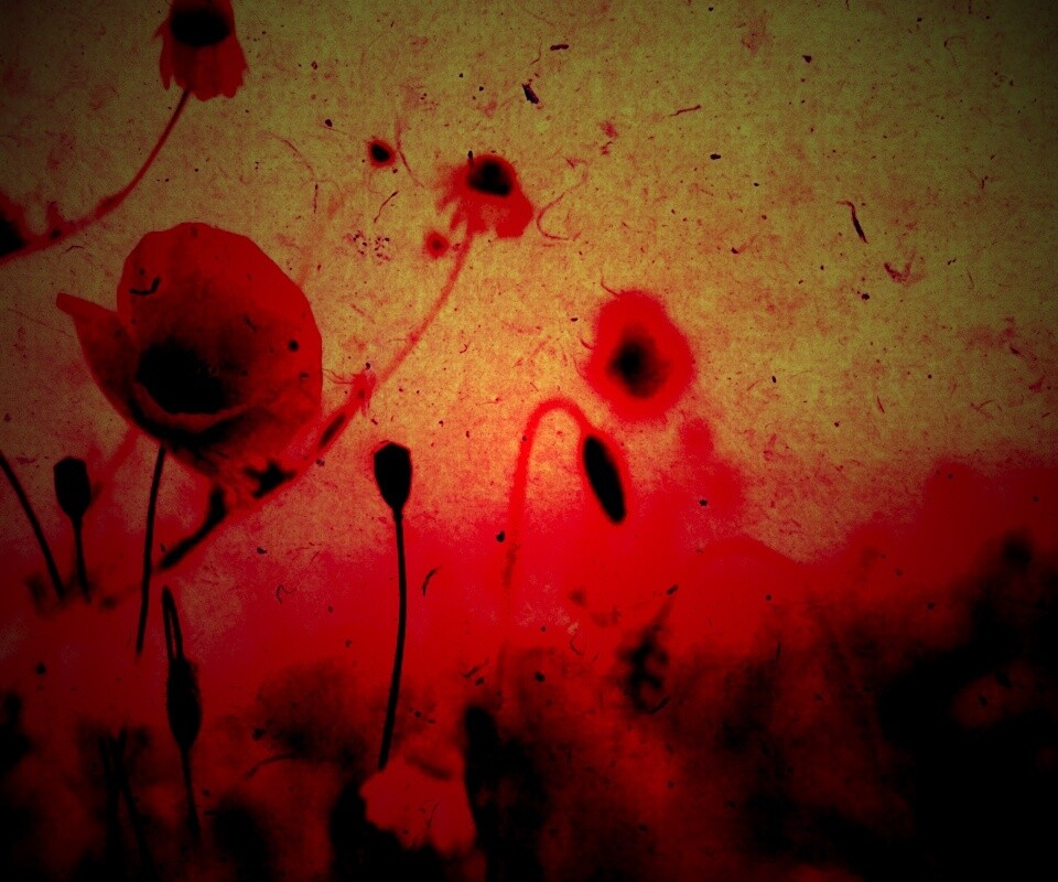 Кровавые цветы в стиле ретро обои