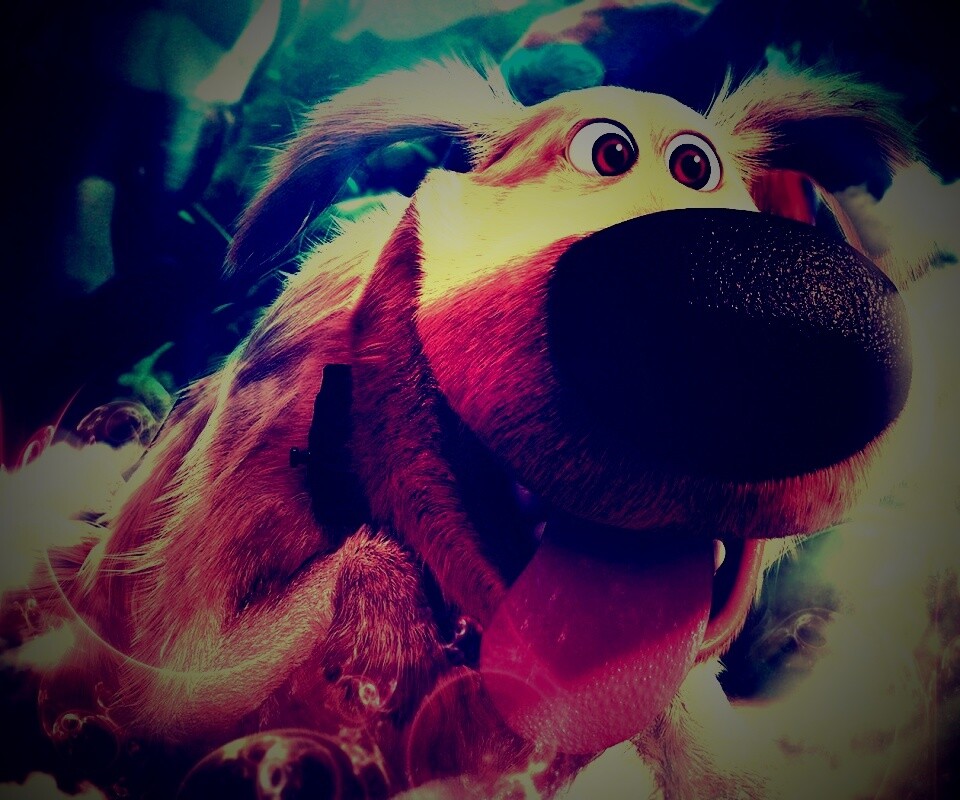 Собака из мультфильма Up обои