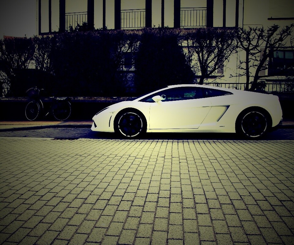Белый Lamborghini обои