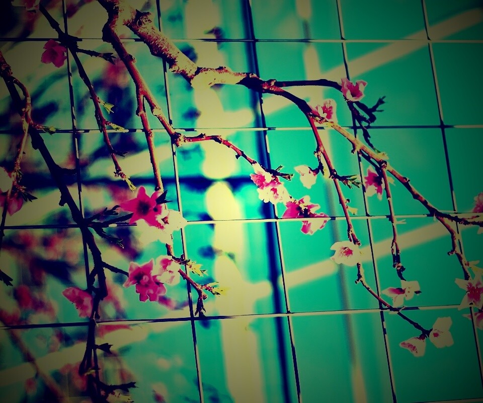 Ветка за сеткой обои