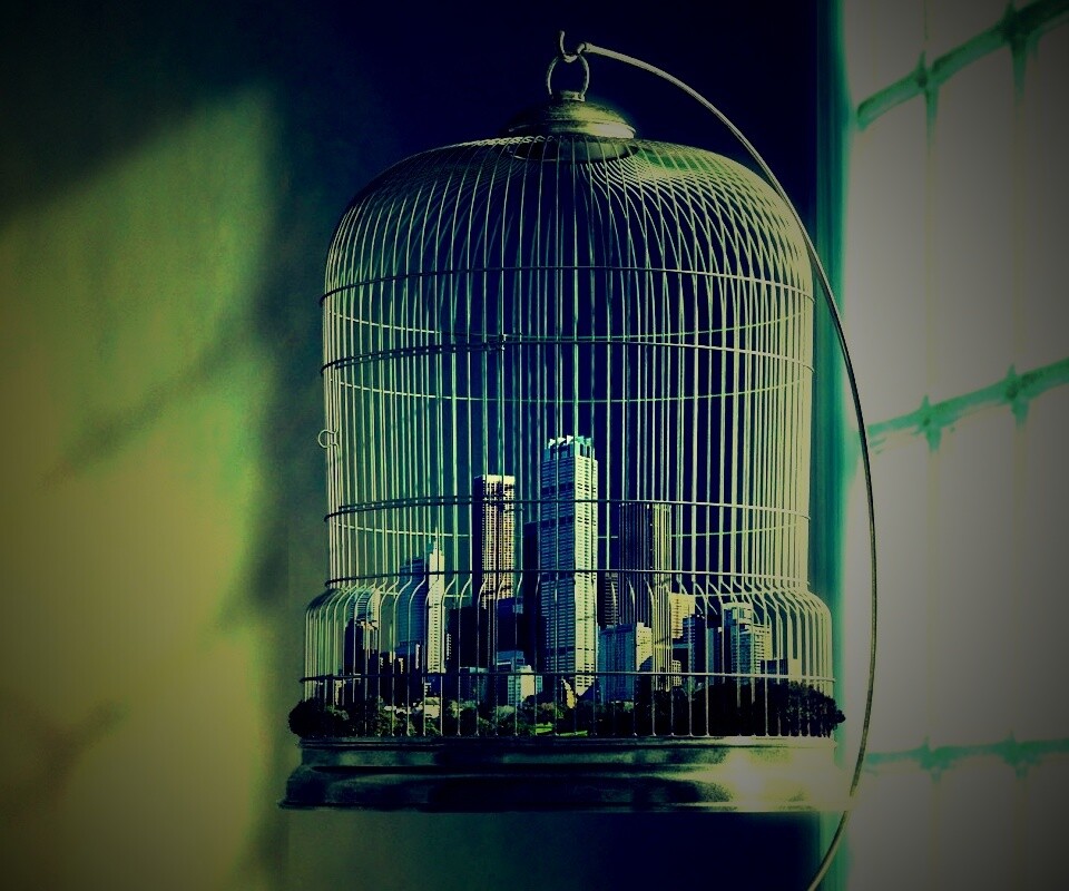 Город в клетке обои