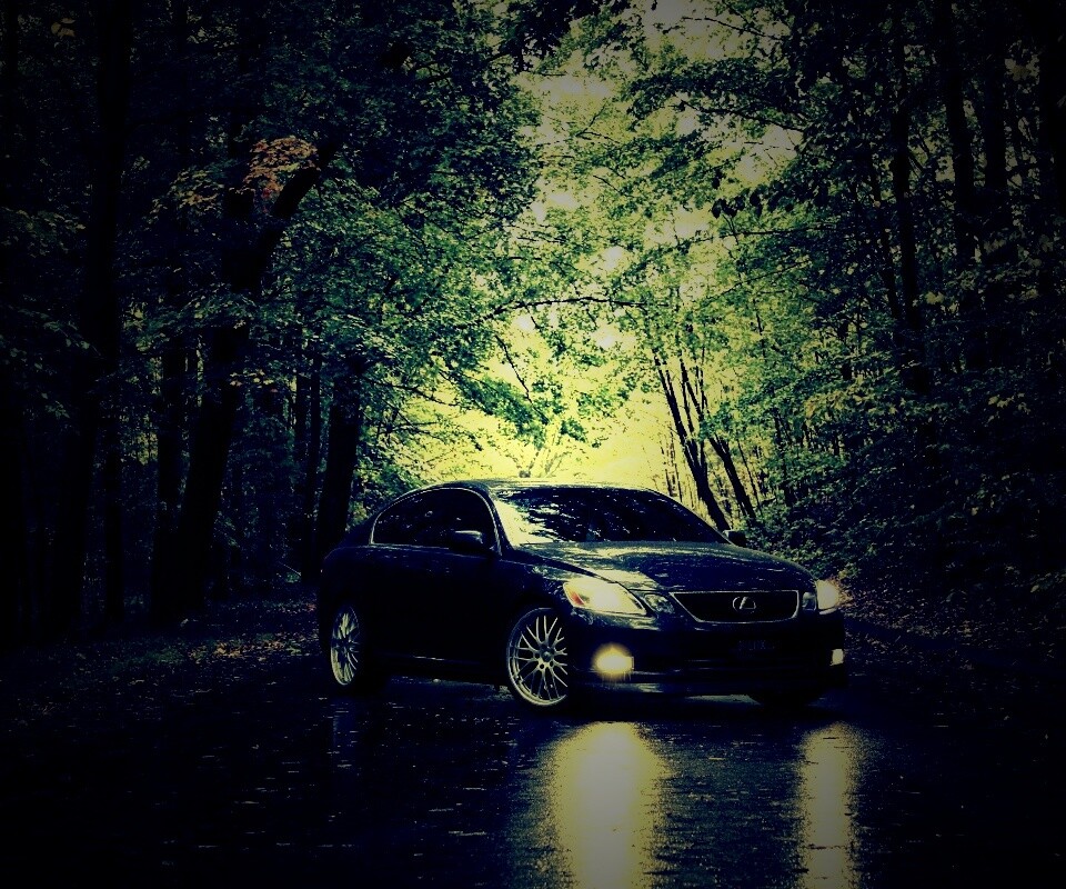 Лексус на лесной дороге обои