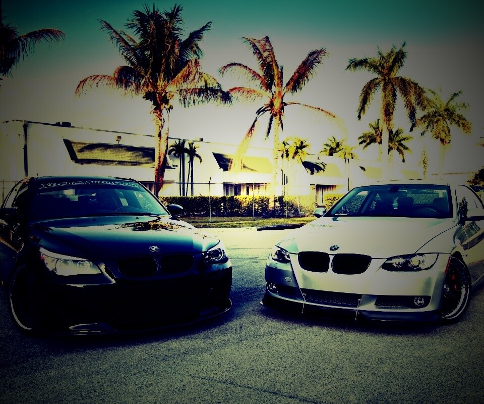 Две БМВ обои
