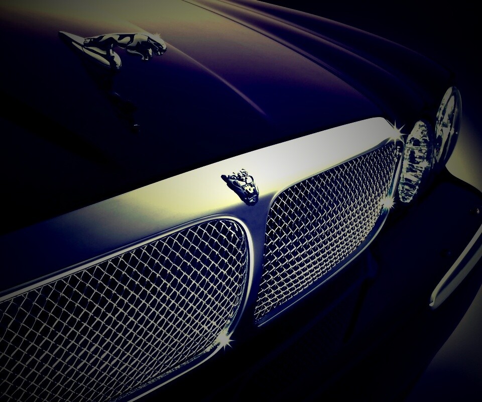 Капот и эмблема Ягуара обои