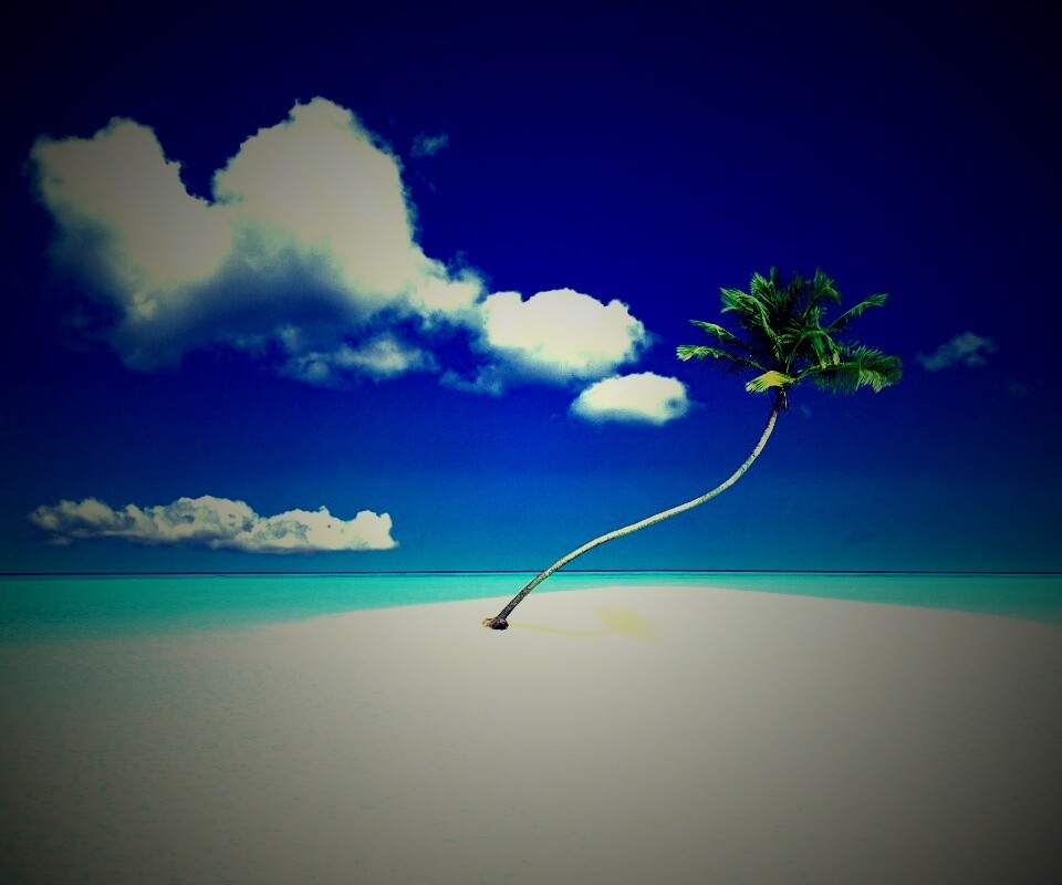 Идеальный пальмовый остров обои