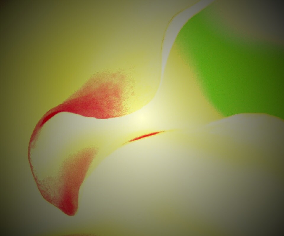 Оттенки природы обои