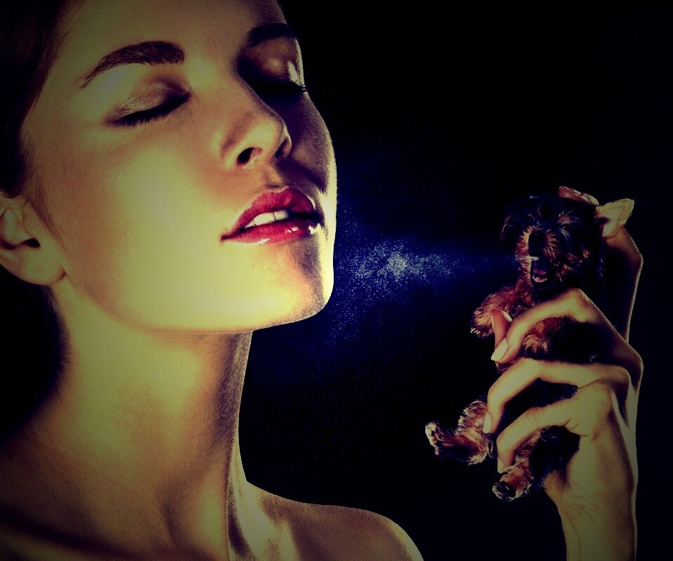 Соблюдайте гигиену обои