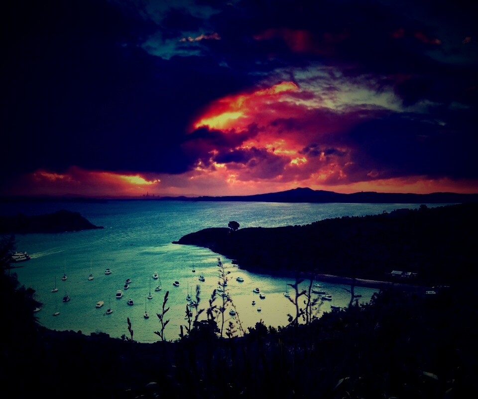 Waiheke Island, New Zealand обои